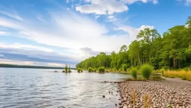 Photo of Природные красоты реки Волга