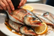 Photo of олга: где ловить самую вкусную рыбу