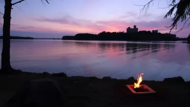 Photo of Отдых на берегу Волги